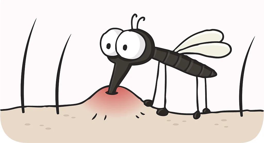 蚊子在没人的地方都是怎么存活的 (蚊子在没人的情况下能存活多久?蚊子最高能飞到几层楼高)