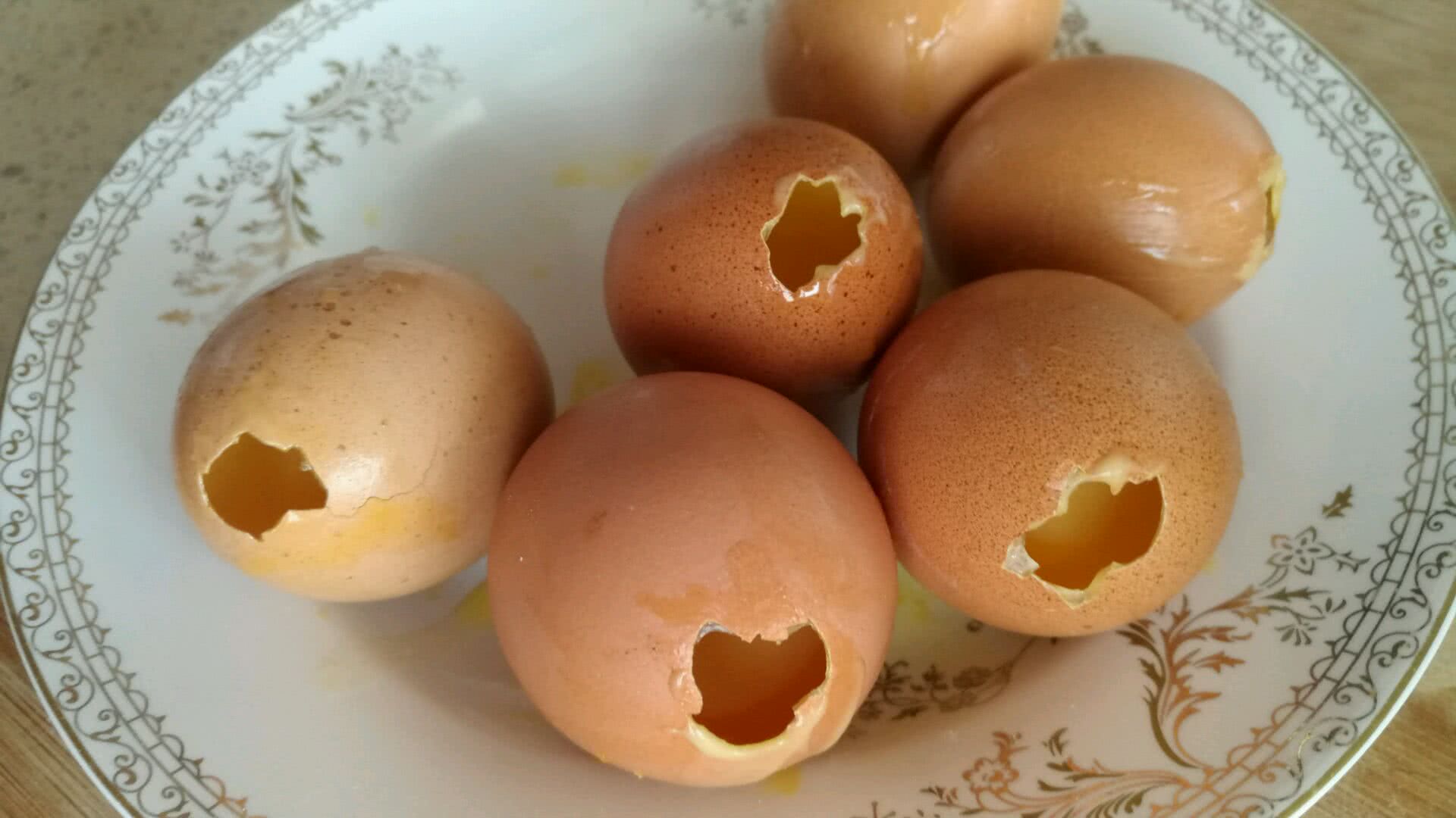 鸡蛋壳怎么用来做花肥 (鸡蛋壳怎么用来养绿萝)