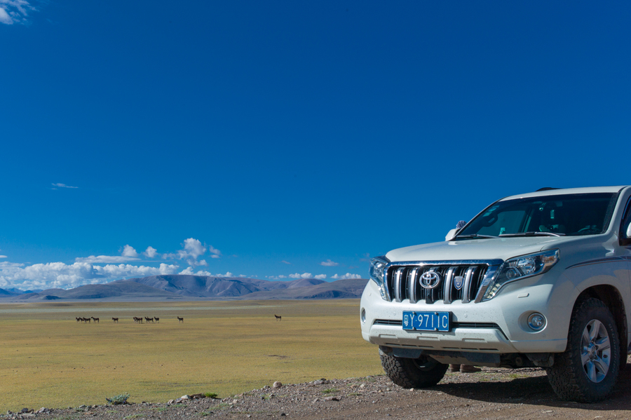 自驾去西藏 对车有什么要求 普拉多还是轿车好