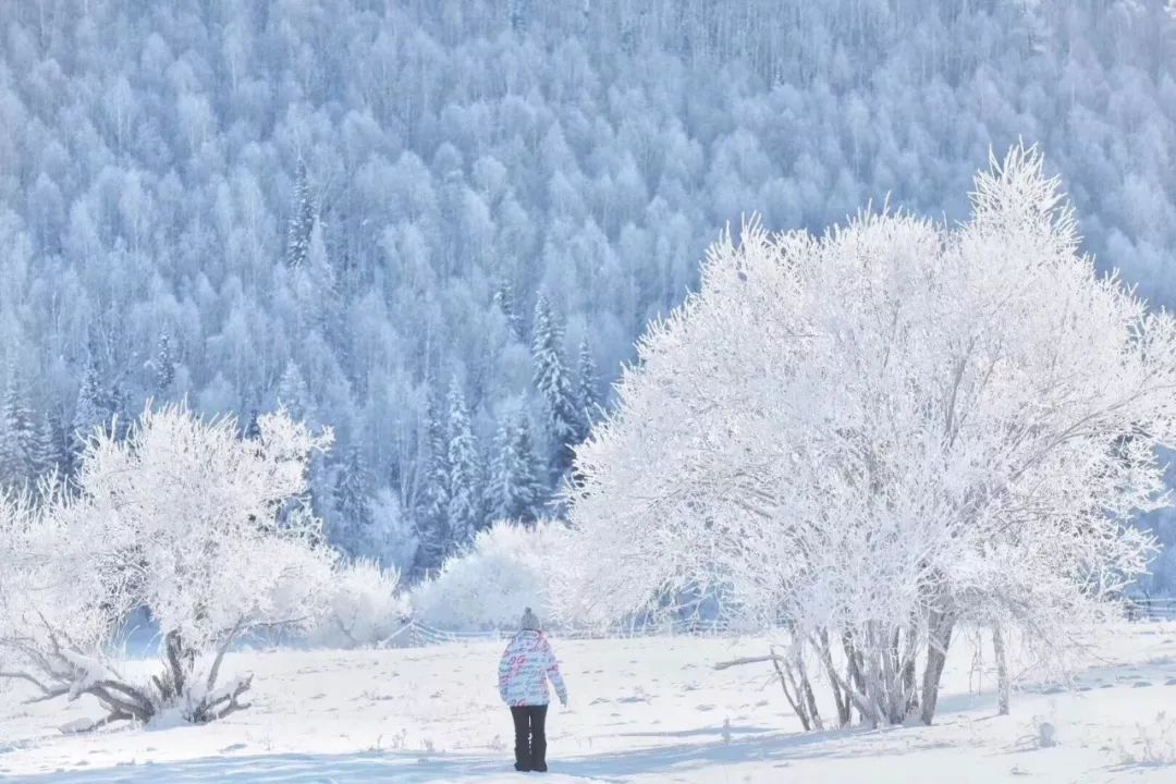 新疆冬天有什么好吃的 (新疆冬天有什么特点 今冬新疆会冷吗2023)