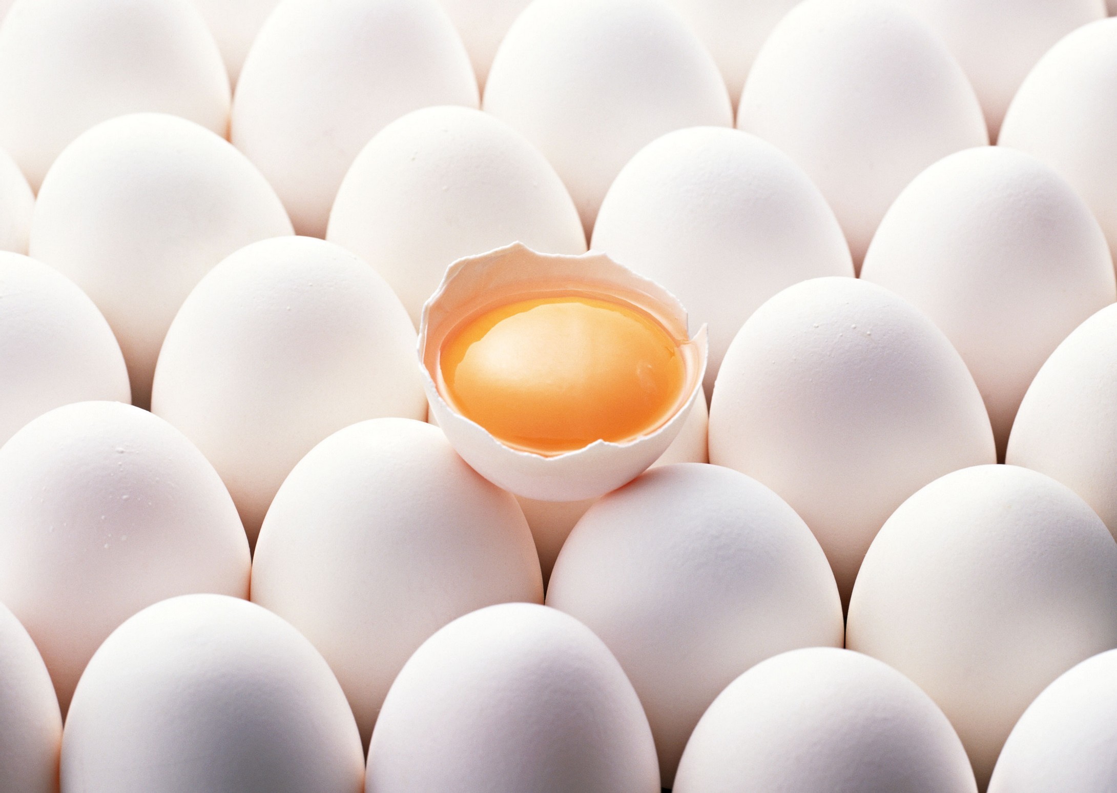 怎么看鸡蛋是不是受精卵 (怎么看鸡蛋是否能孵出小鸡 怎么看鸡蛋能不能孵出小鸡)