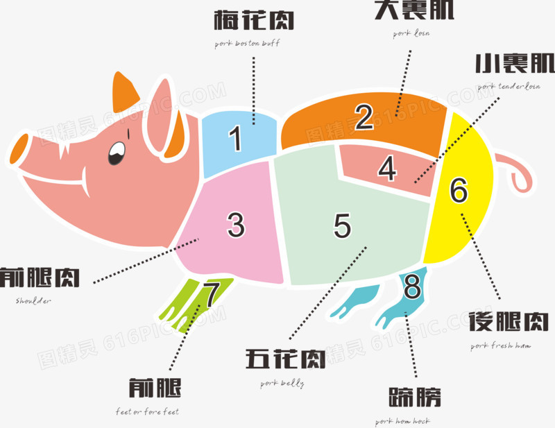 猪肉的不同位置口感大不同！教你正确辨别出前腿肉和后腿肉！