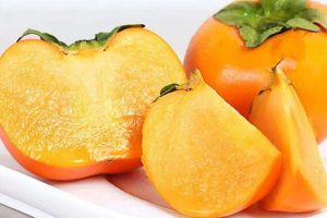 脆柿是寒性水果吗 吃脆柿适量会怎样样