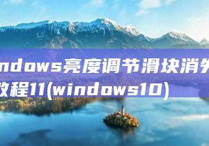 Windows 亮度调节滑块消失解决教程 11 (windows10)